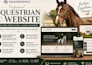 build squarespace website design equestrain website horse riding school website